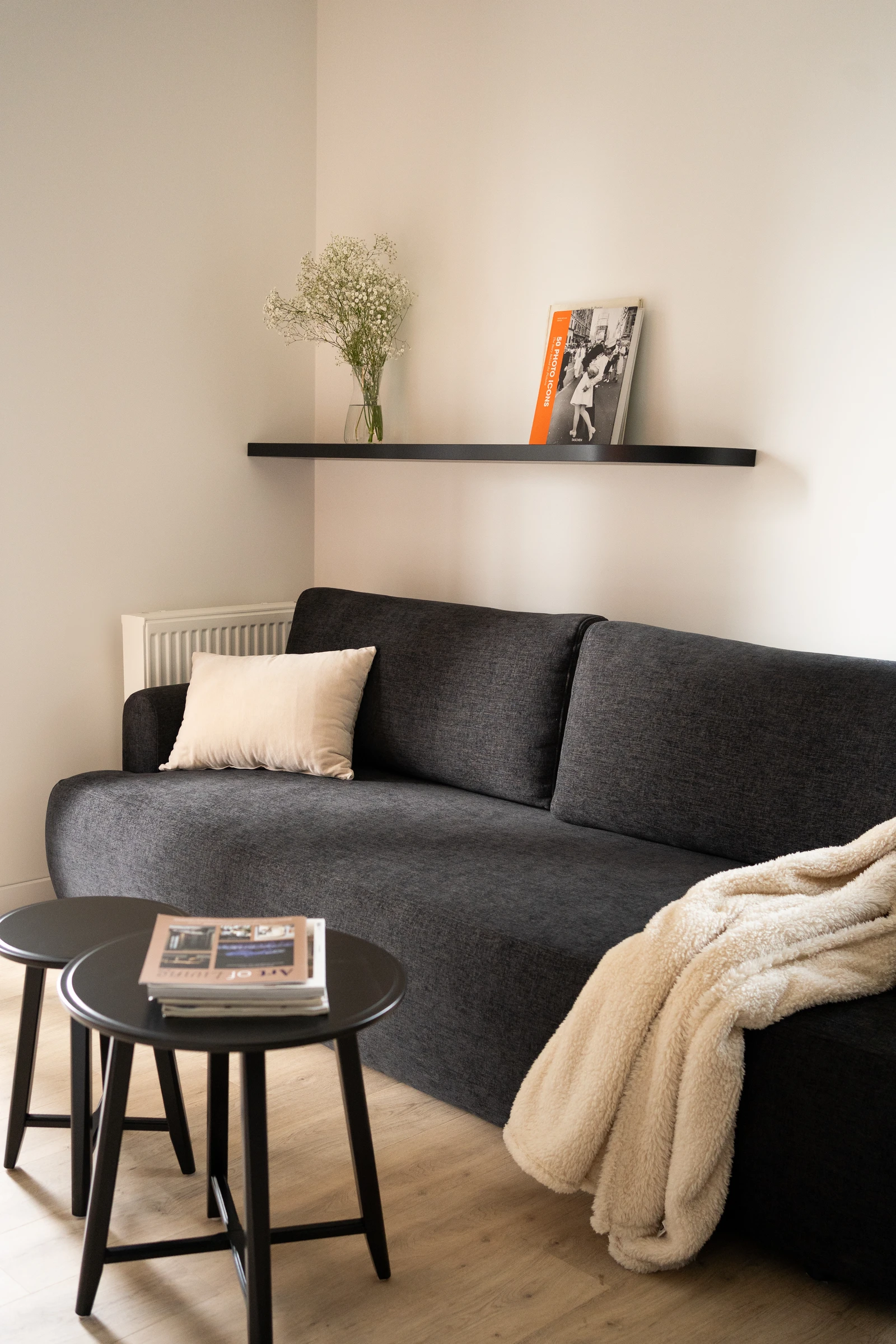 Wygodna kanapa z funkcją spania dla dwóch osób w salonie apartamentu nr 9.